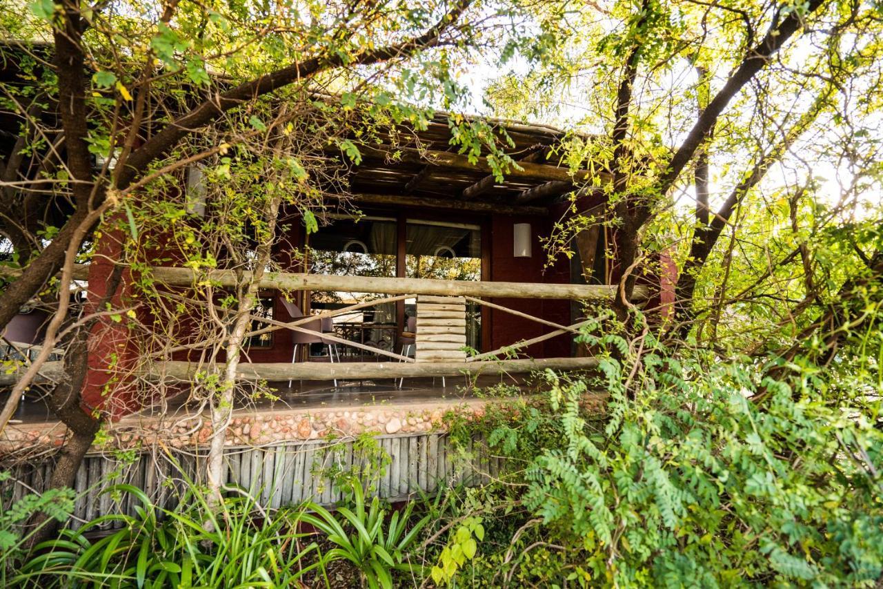 Hakunamatata Lodge & Health Spa/ Wedding & Conference Venue Muldersdrift Dış mekan fotoğraf